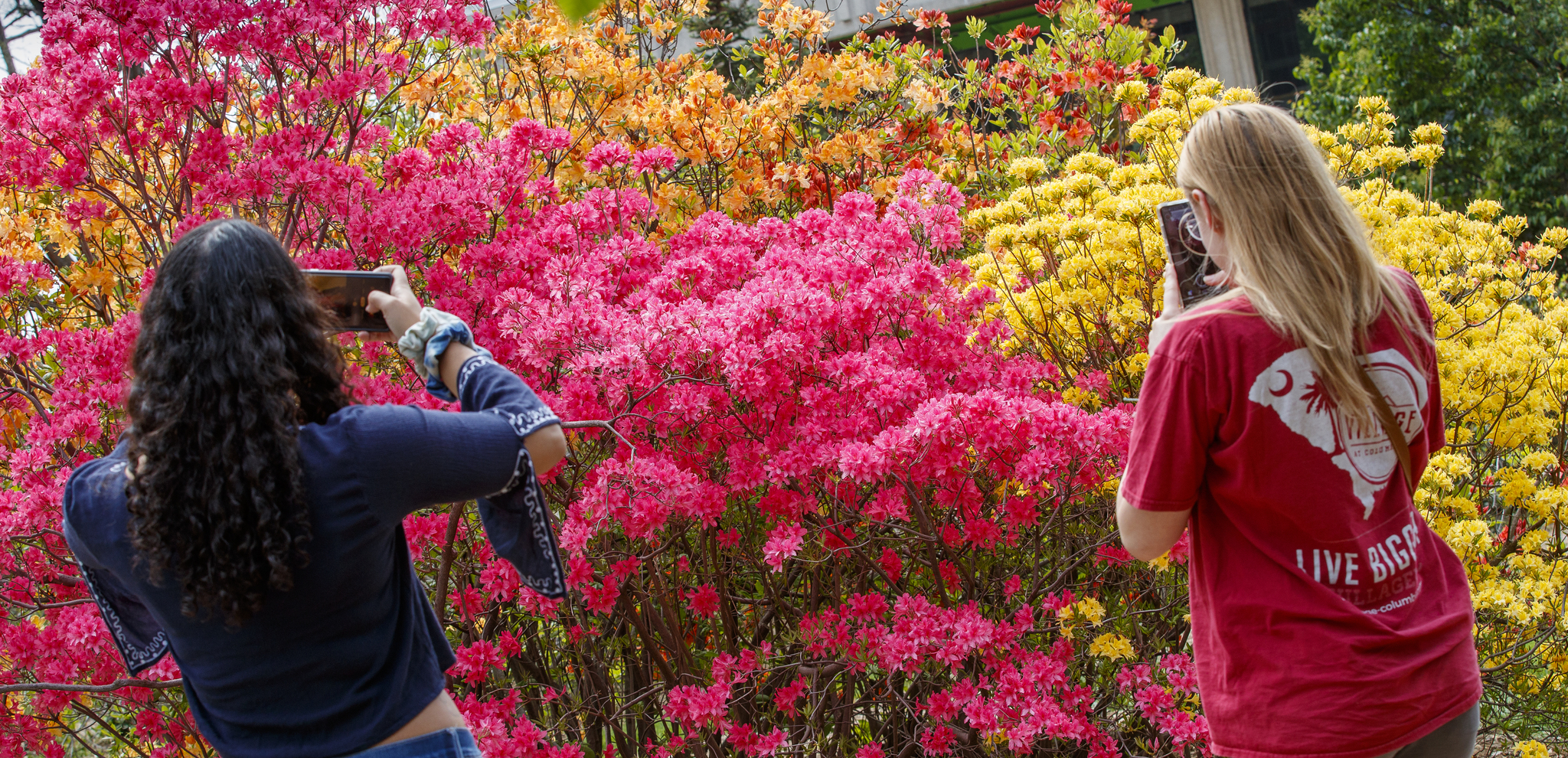 Two female students take photos of the blooming flowers on East Campus