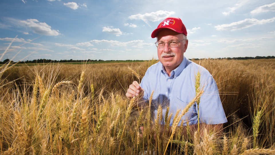 Stephen Baenziger stands in a field of golden wheat with his Nebraska baseball cap and blue skies behind him