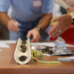 Teachers try out a learning activity during a grassland teaching workshop.
