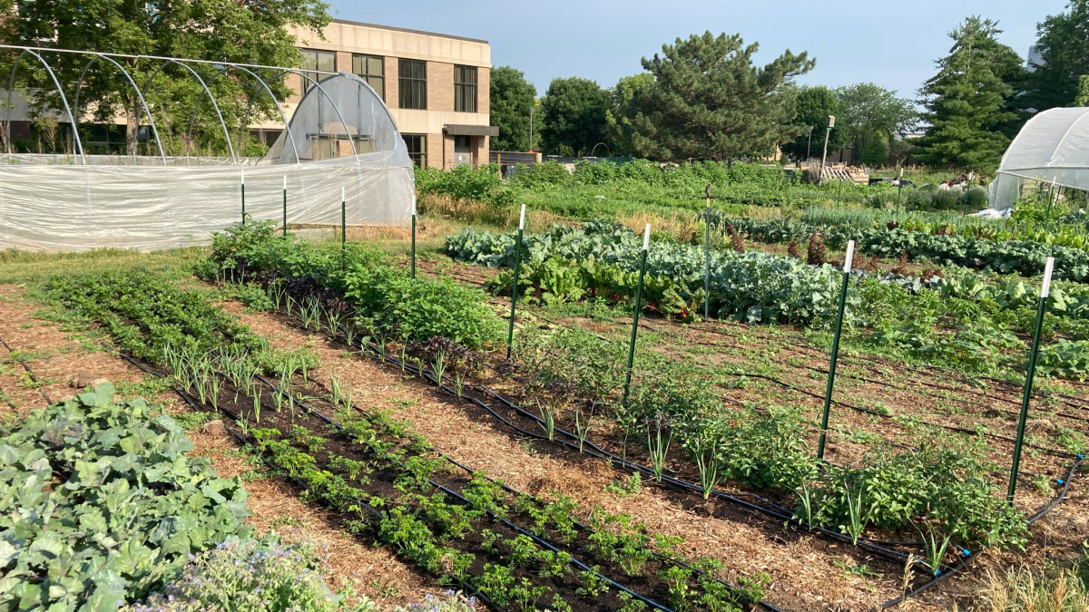 Nebraska scientist looking for gardeners, and urban farmers for research project