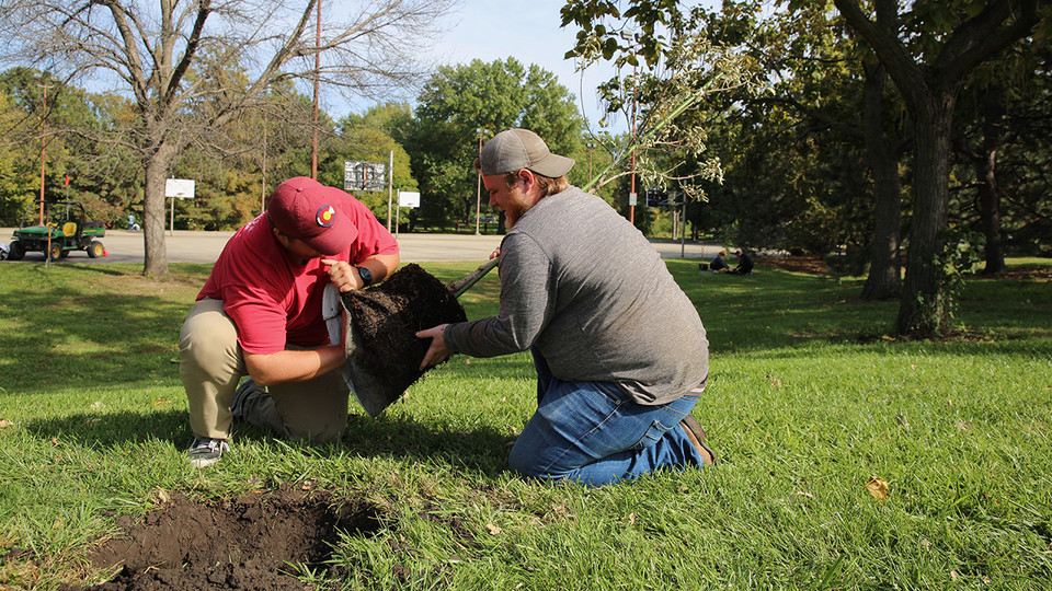 Two male students plant a tree near the East Campus basketball courts