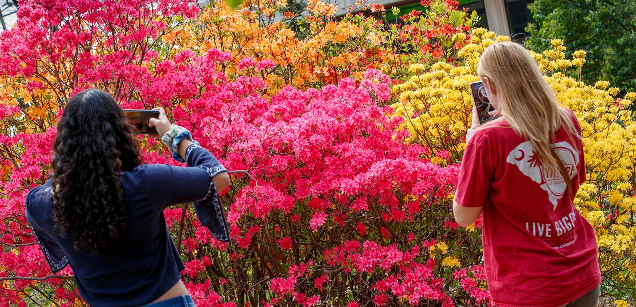 two students taking pictures of flowers on east campus.