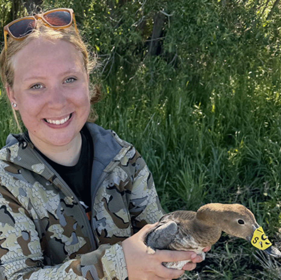 Grad student gets quick plunge into waterfowl