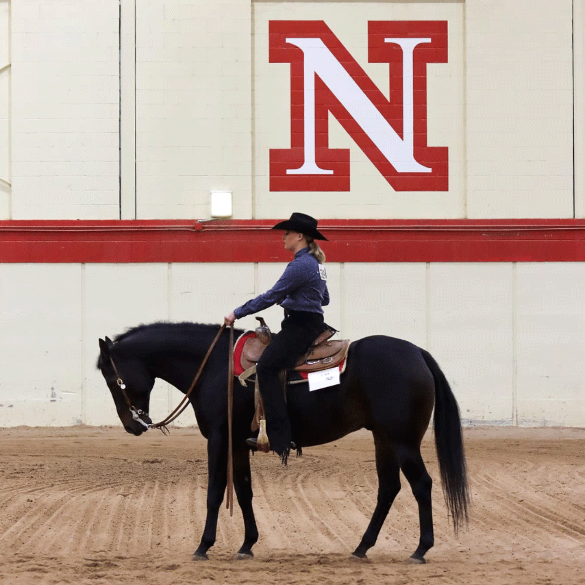 The Husker Equestrian Team made a clean sweep in Lincoln for the Western Team. UNL took home High Point Team at the AM and PM shows.