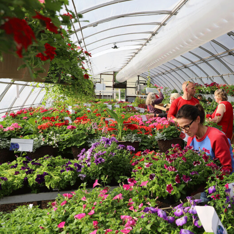 Horticulture Club spring plant sale is May 2–4