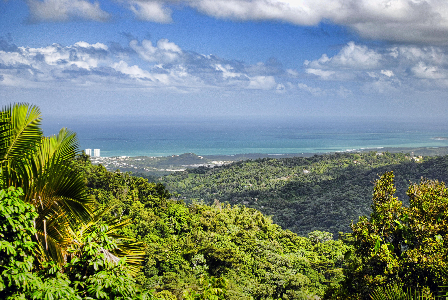 Puerto Rican Vista