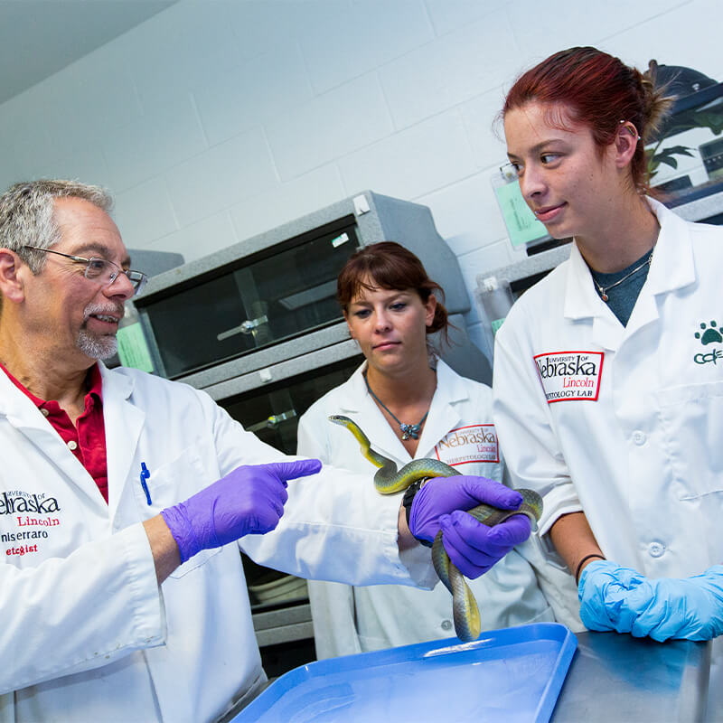 Students in lab with faculty member