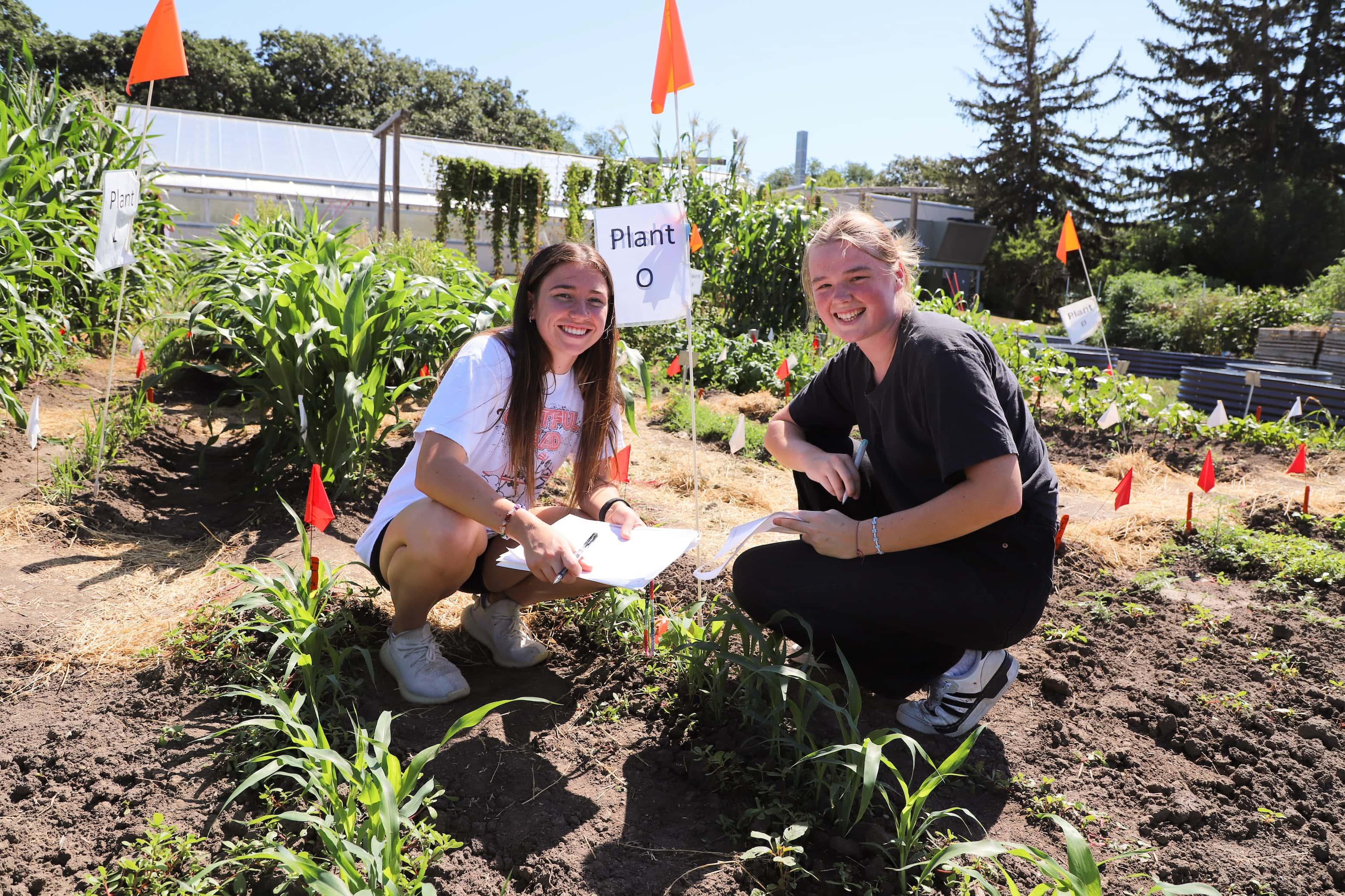 Two students working outside a greenhouse