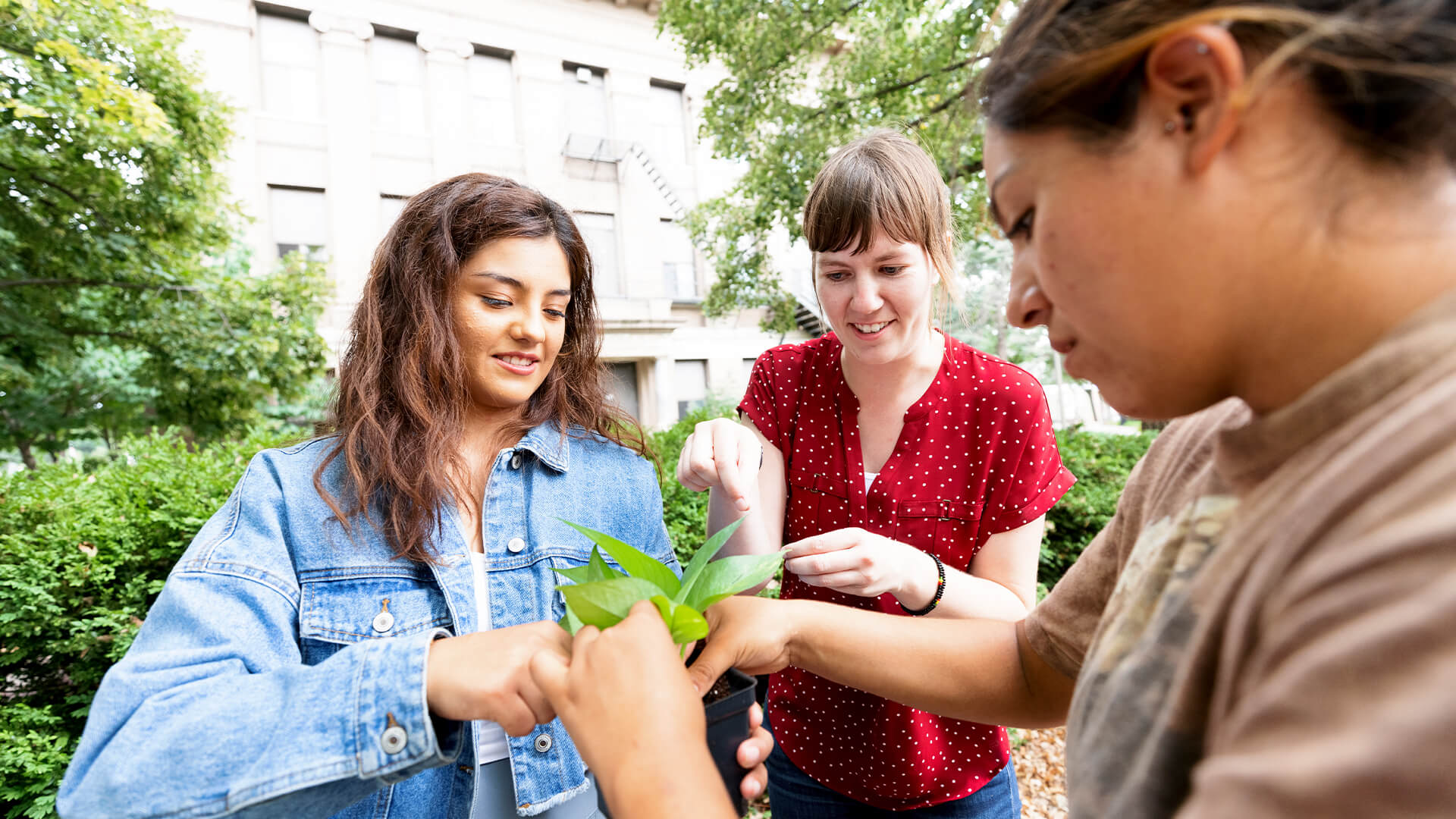 Students looking at plant with faculty member