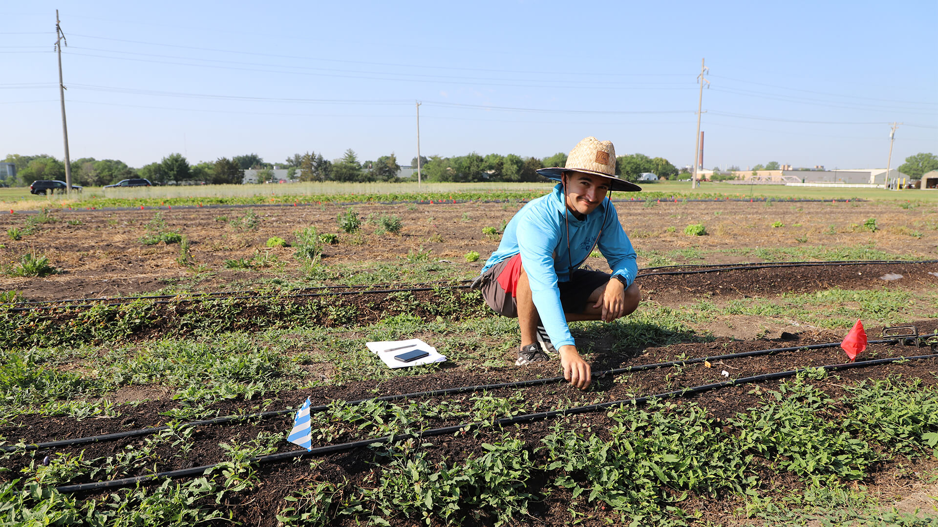 Student in field checking on plantings