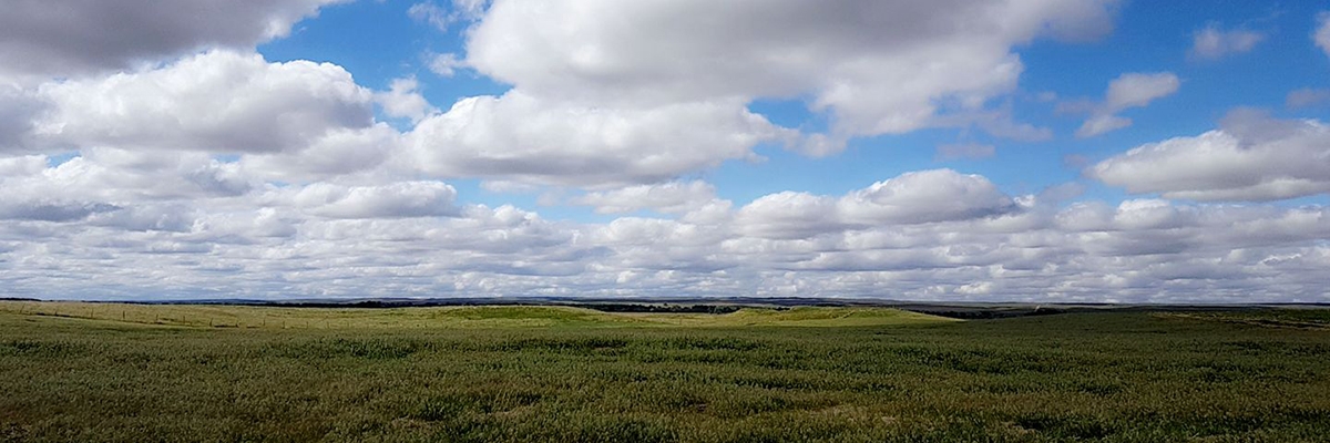 grassland with clouds in the sky