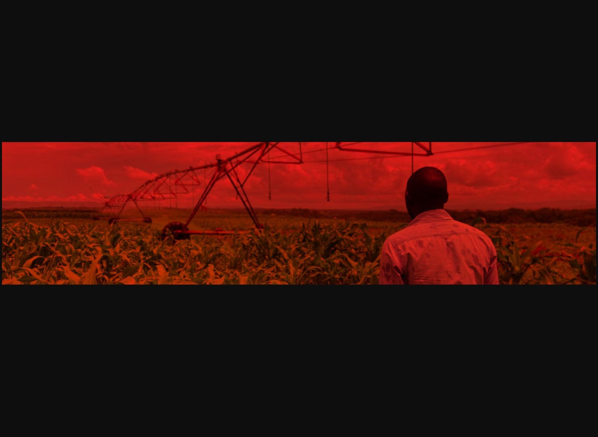 student near a pivot in a corn field