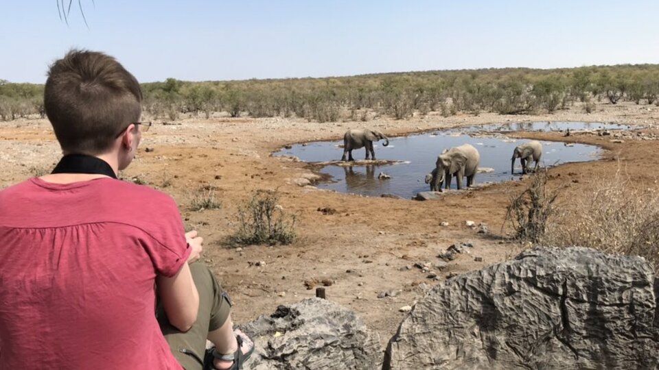 A student sits on a rock formation and watchs elephants drink from a pond in the distance.