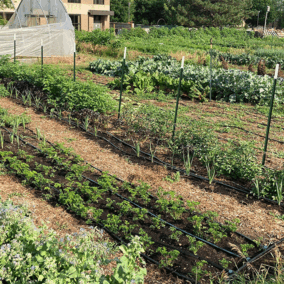 Garden on East Campus