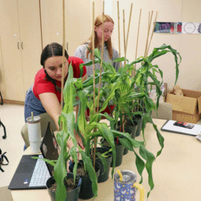 2 students analyzing plants in a classroom