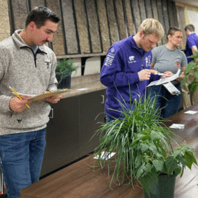 students judging crops in a classroom