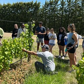 Students and instructor learning in a vineyard