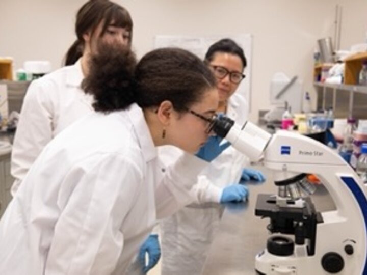 Maya Tanikawa-Brown looks through a microscope while a fellow student and faculty member look on.