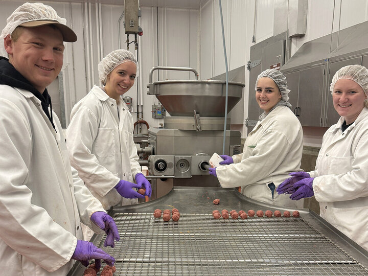 A group of students wearing protective clothing and hair nets make meatballs in the UNL meat lab.