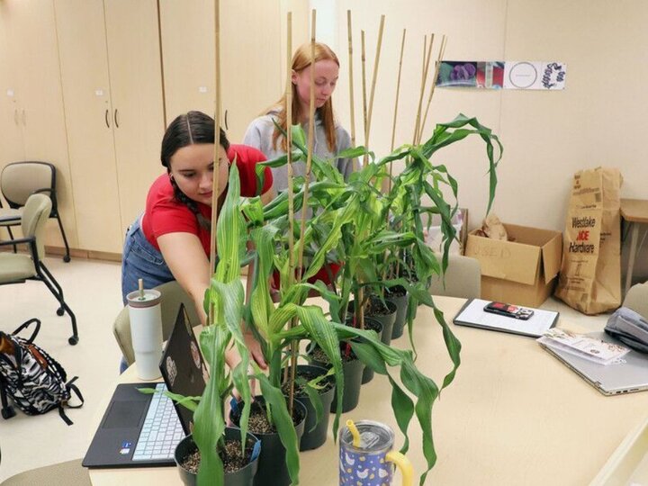 students measuring data from plants