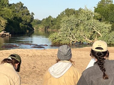 Students looking at hippos in Botswana