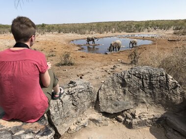 Student viewing elephants in Botswana