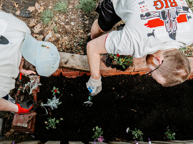 Students plant flowers in a garden bed
