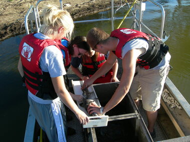 Students on a boat meauring a fish