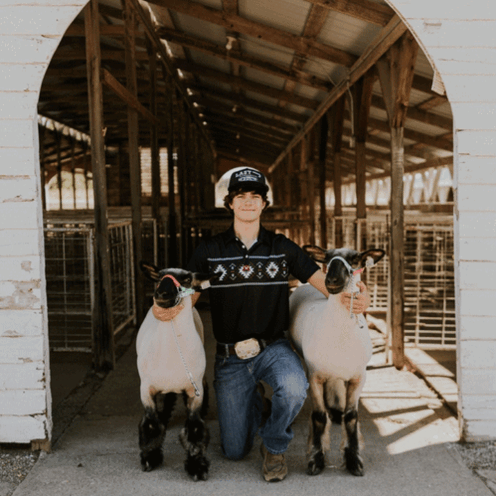Mason Stoddard with 2 sheep
