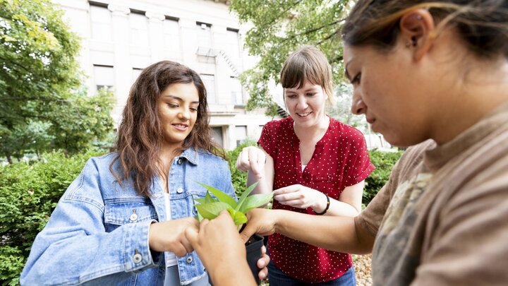 Students looking at a plant
