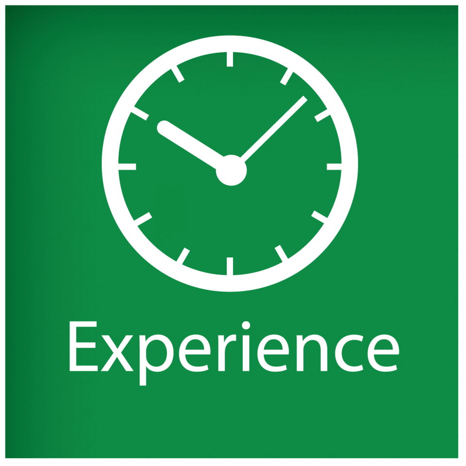 Ensuring Experience Logo