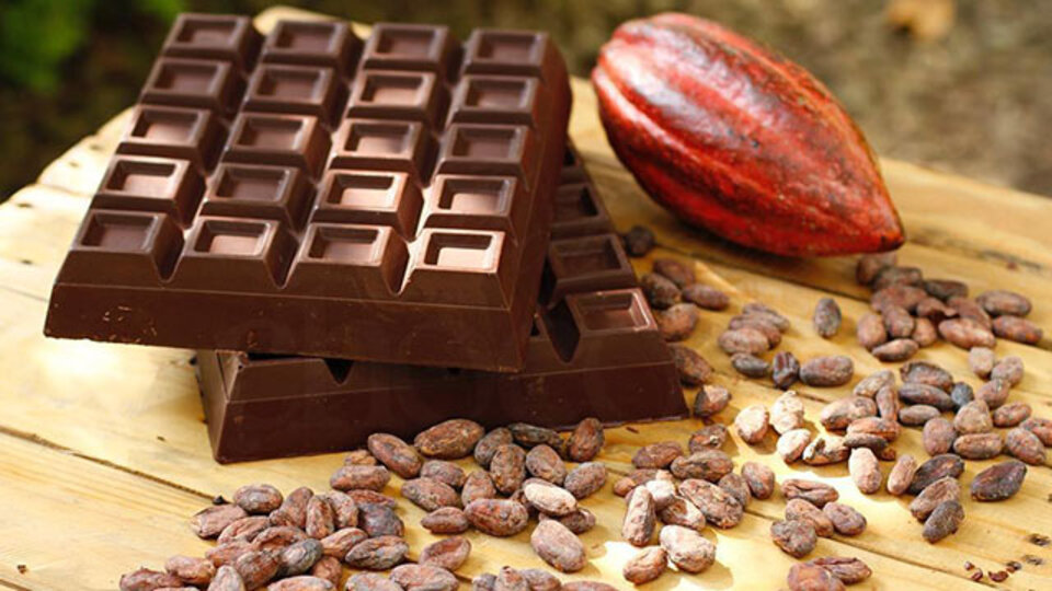 chocolate bar and cacao pod