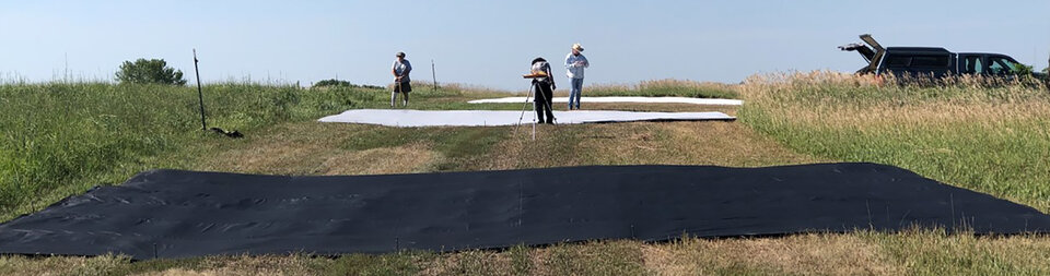 Three students surveying a prairie