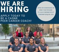 We are hiring peer career coaches